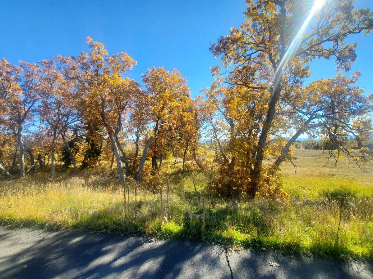 248 N Spring Dr, Kolob, UT 84767 - Image #1