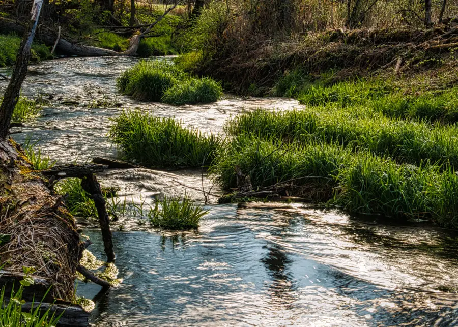 Water Rights, Virgin, UT 84779 - Image #3