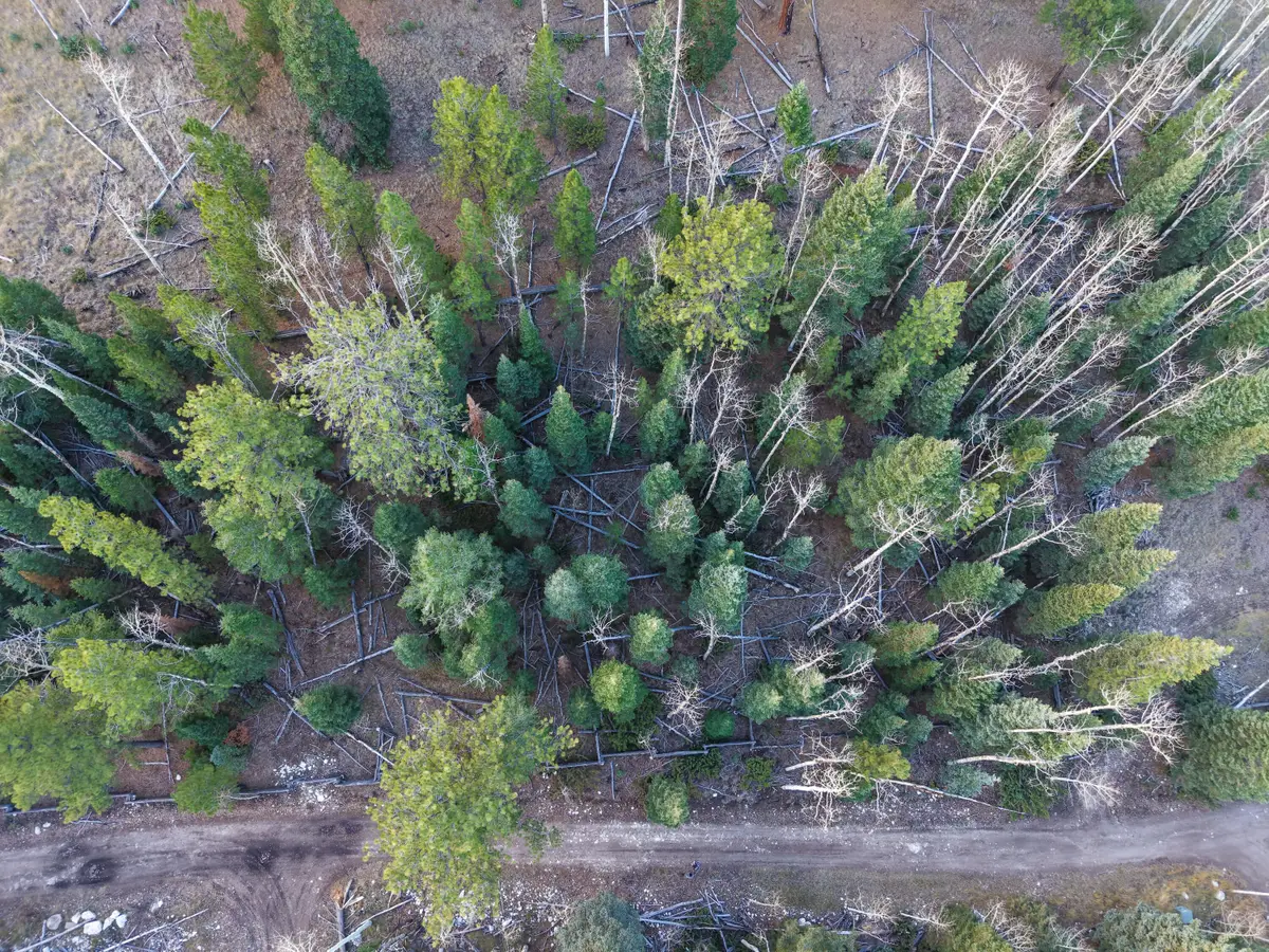 Clear Creek Estates Lot 15, Panguitch, UT 84759 - Image #1