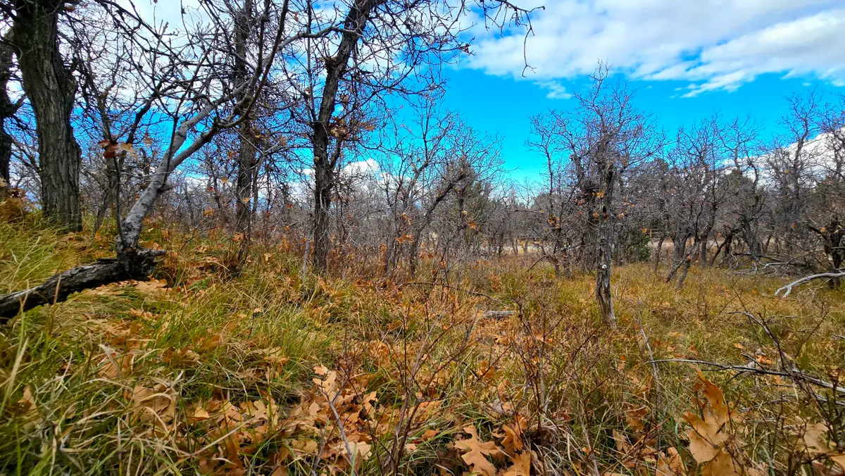 138 E Oak Ridge Drive Dr, Mount Pleasant, UT 84647 - Image #1