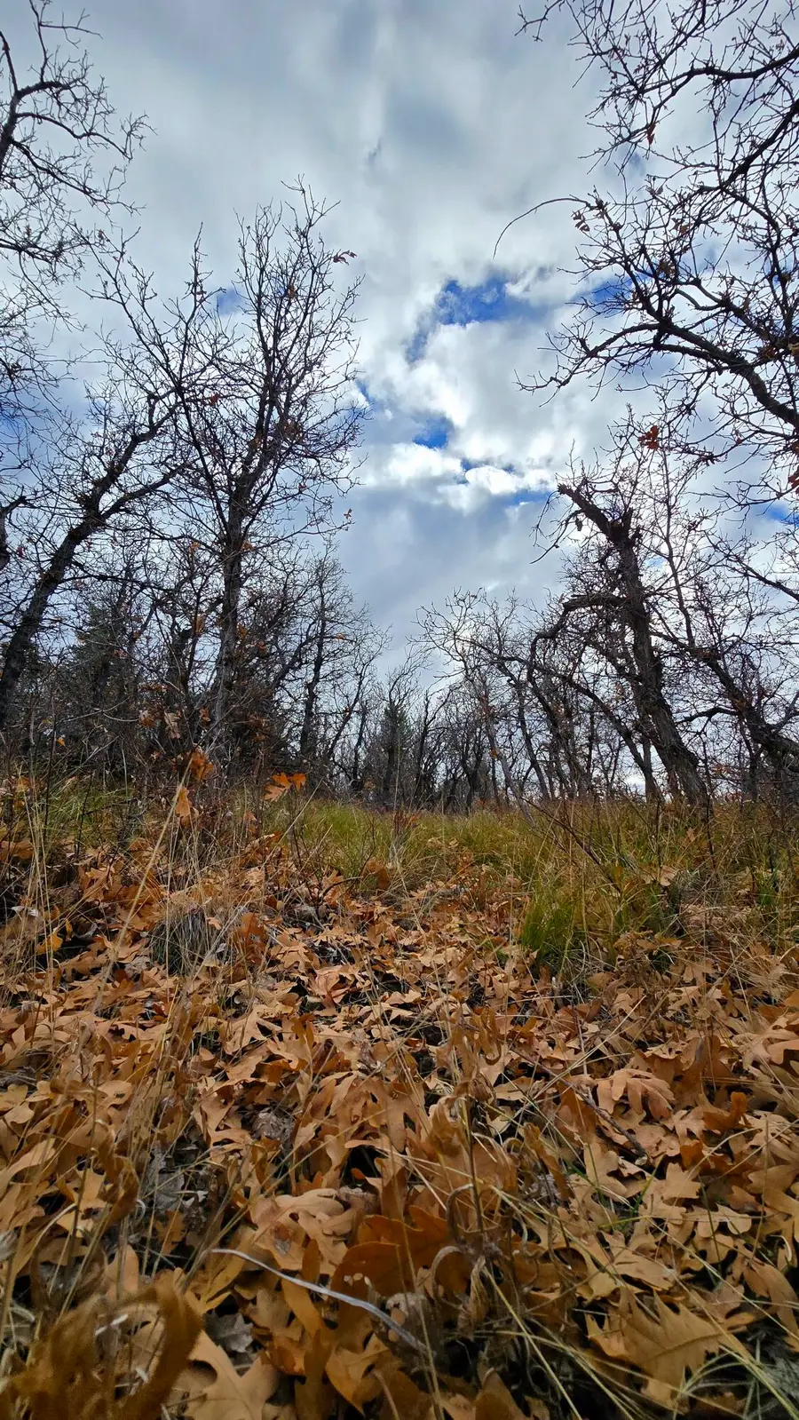 138 E Oak Ridge Drive Dr, Mount Pleasant, UT 84647 - Image #2