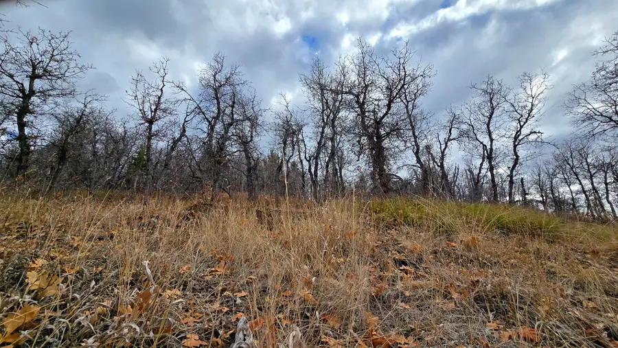 138 E Oak Ridge Drive Dr, Mount Pleasant, UT 84647 - Image #3