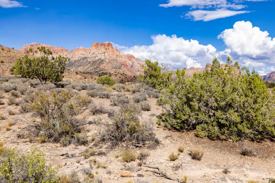 Zuni, Springdale, UT 84767 - #3