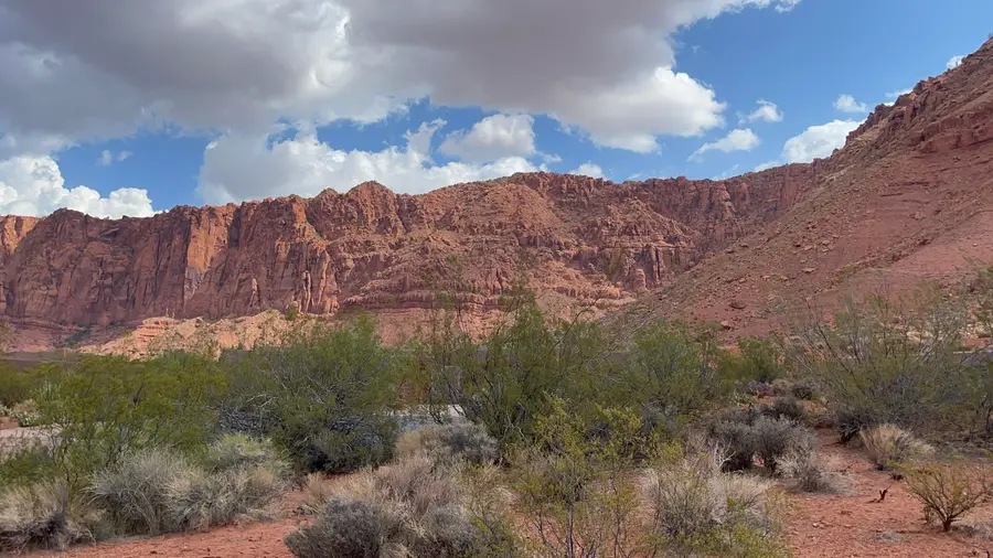 823 N Agave Ct, Ivins, UT 84738 - Image #3