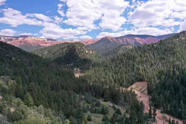 Cedar Mountain Ashdown Gorge, Cedar City, UT 84720