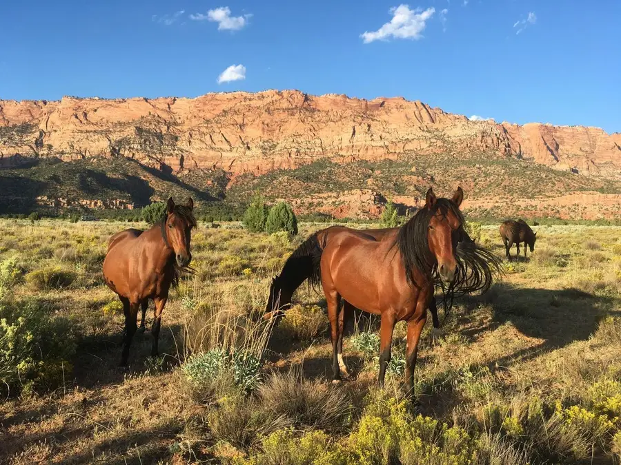 E Rnch Rd, Hurricane, UT 84737 - #2