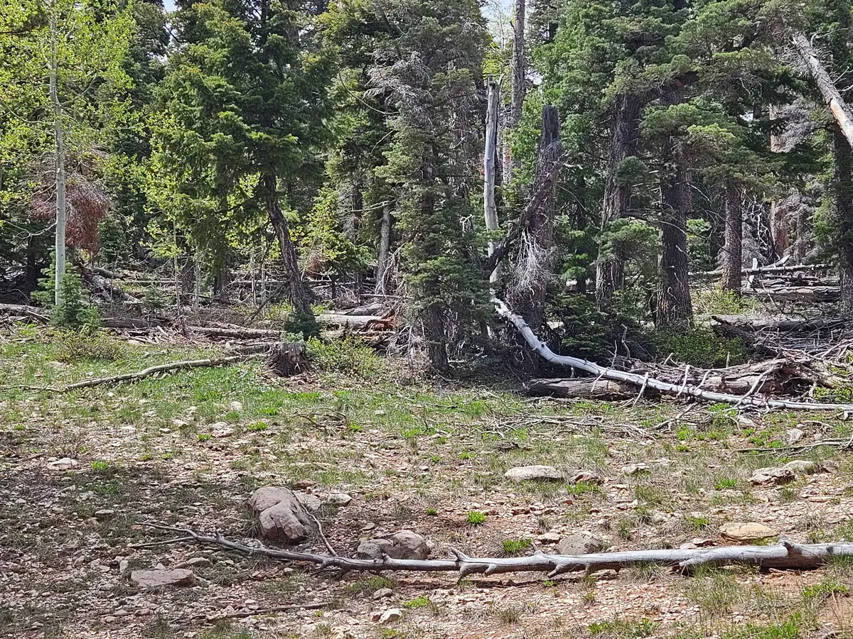 6250 W Brook Ln, Duck Creek Village, UT 84762 - #1