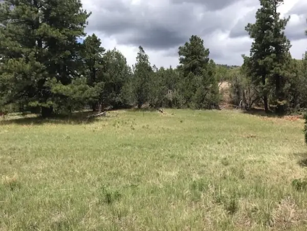 2655 E Cedar Dr, Kolob, UT 84767