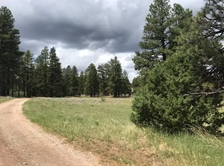 2655 E Cedar Dr, Kolob, UT 84767 - #2