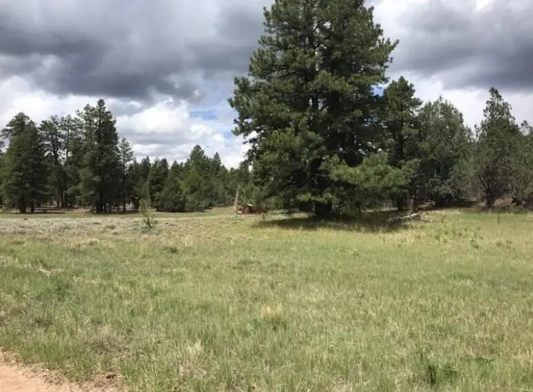 2655 E Cedar Dr, Kolob, UT 84767 - #3