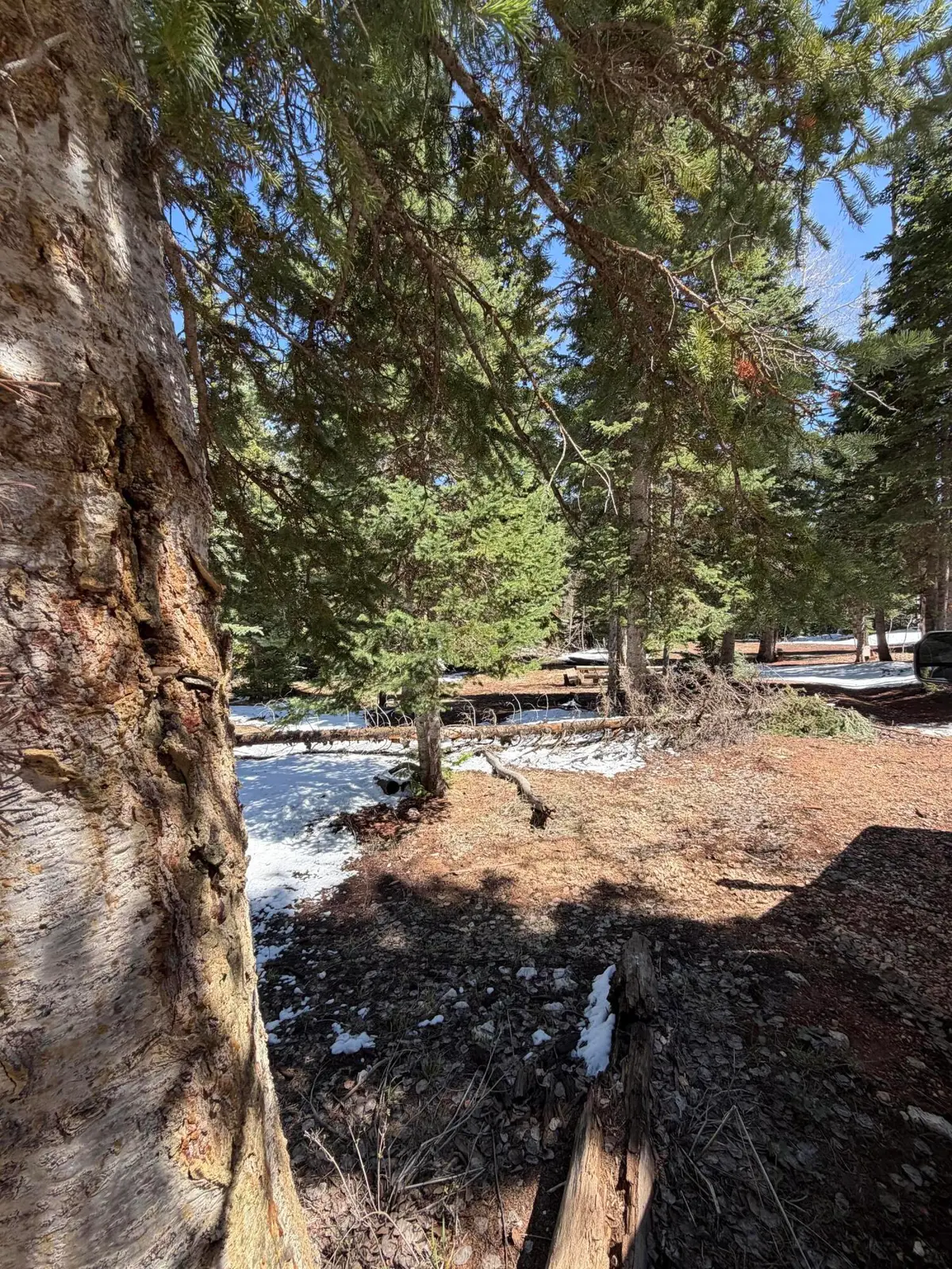 75 Buckhorn Trail, Duck Creek Village, UT 84762 - #1