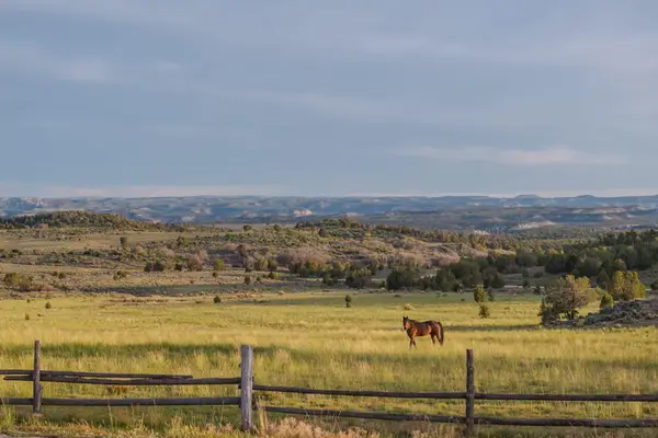 403 Mineral Spring Rd, Mt. Carmel, UT 84755