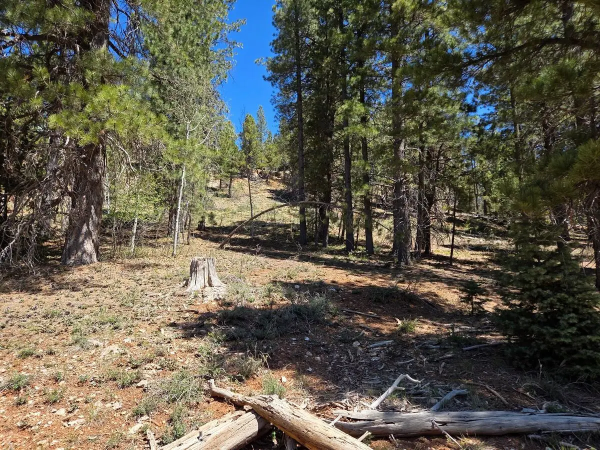 2175 E Sleepy Meadow Ln, Duck Creek Village, UT 84762 - #1