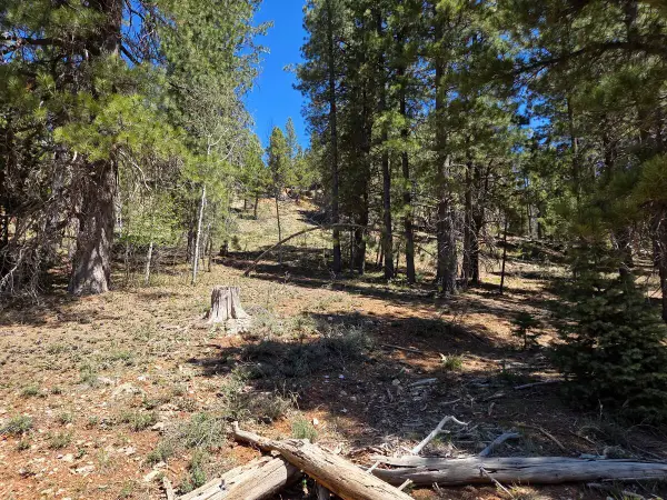 2175 E Sleepy Meadow Ln, Duck Creek, UT 84762