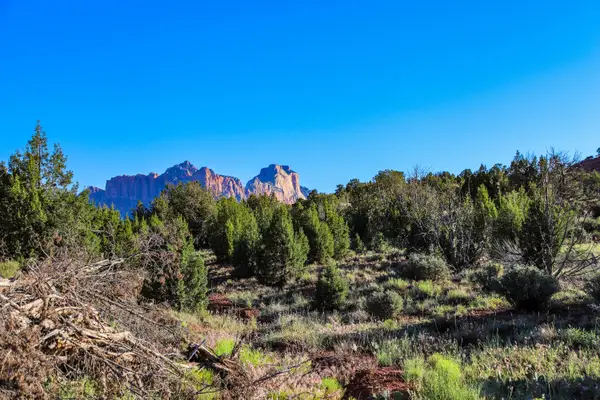 Kayenta Ave, Rockville, UT 84763