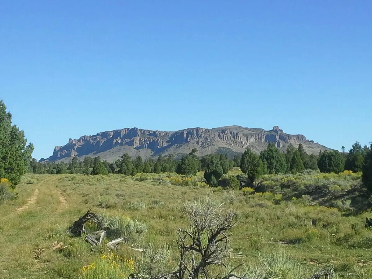 159+ Acres Tom Best Springs Rd, Bryce, UT 84764 - #1