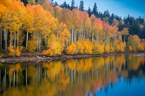 40 Acres Near Kolob Reservoir, Kolob, UT 84767