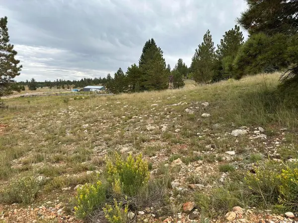 2150 N Ridge View Rd, Duck Creek, UT 84762