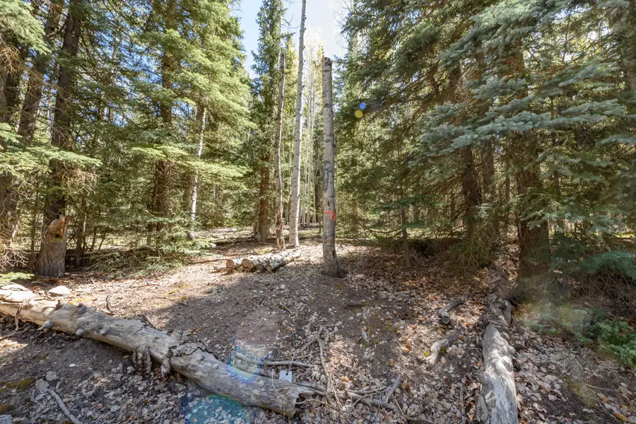 Clear Creek Estates, Panguitch, UT 84759 - #3
