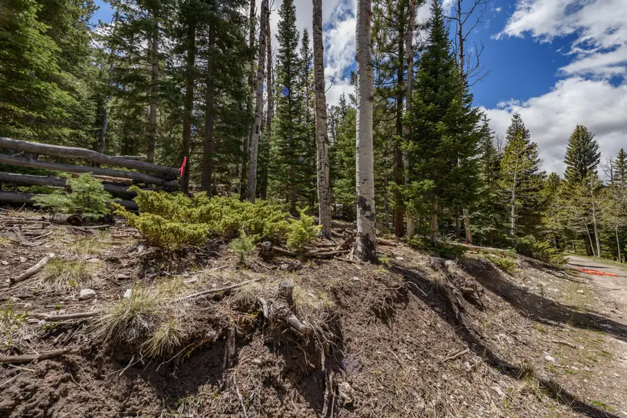 Clear Creek Estates #Lot 14, Panguitch, UT 84759 - #2