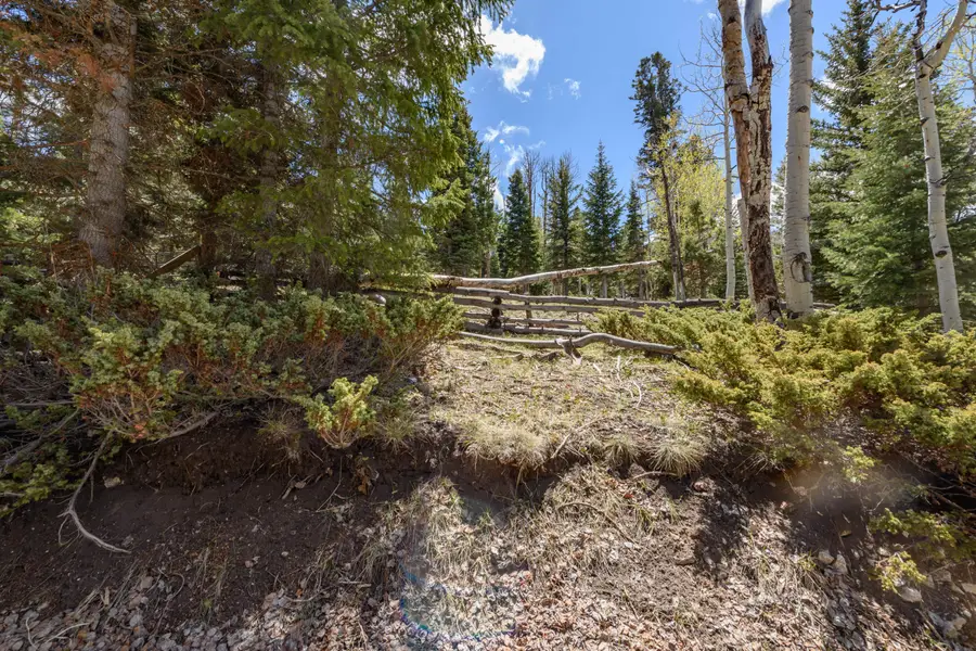 Clear Creek Estates, Panguitch, UT 84759 - #3
