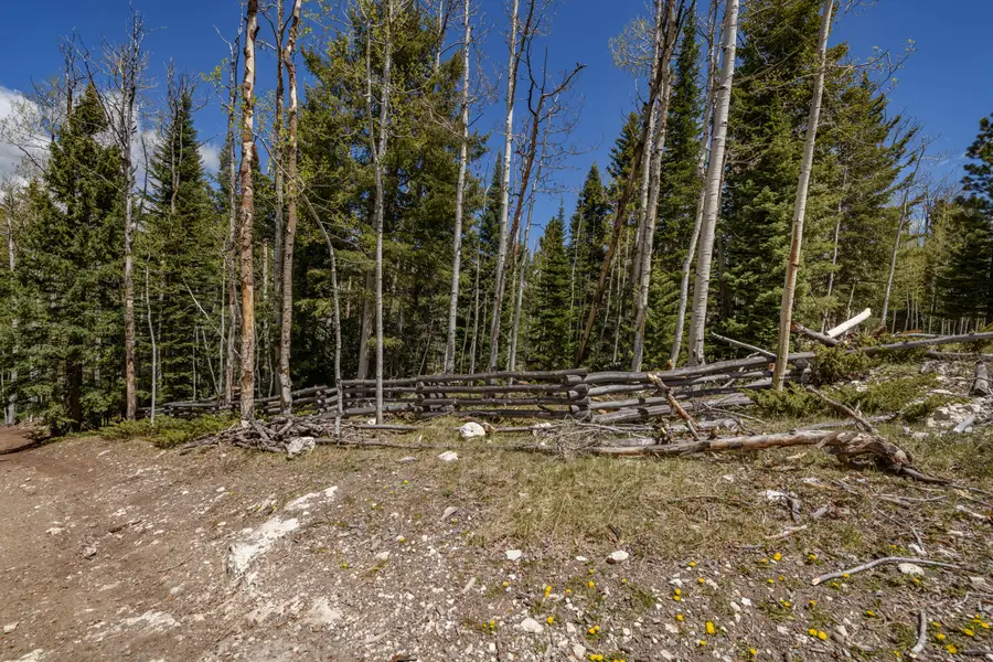 Clear Creek Estates, Panguitch, UT 84759 - #3