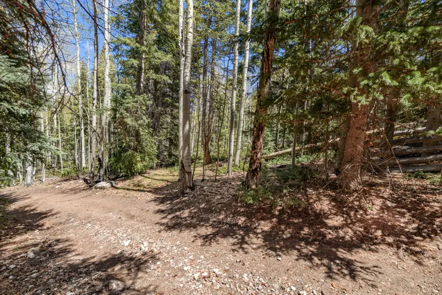 Clear Creek Estates #Lot 32, Panguitch, UT 84759 - #3