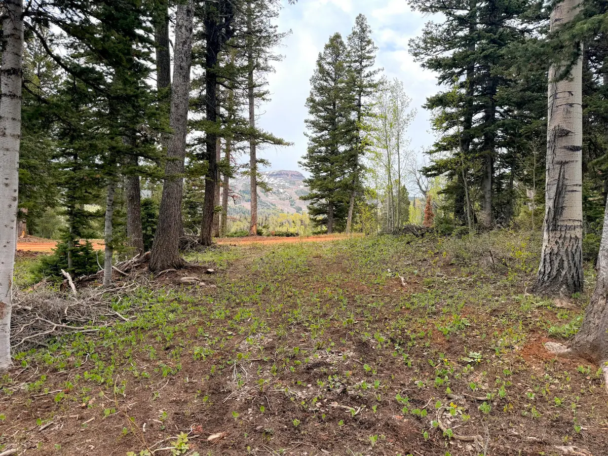 646 W Ski View Dr, Brian Head, UT 84719 - #1