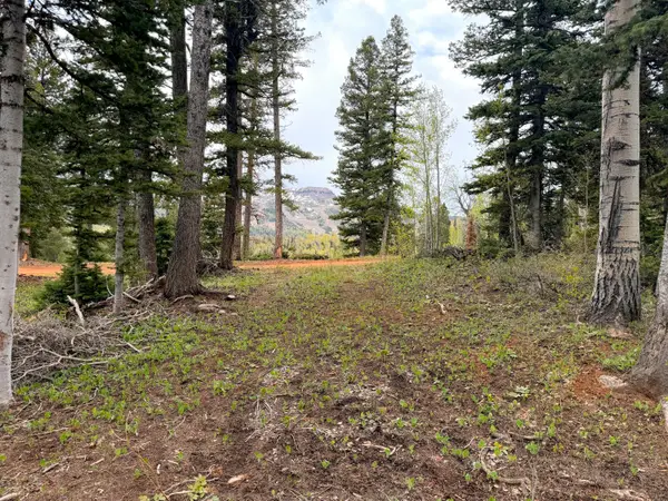 646 W Ski View Dr, Brian Head, UT 84719