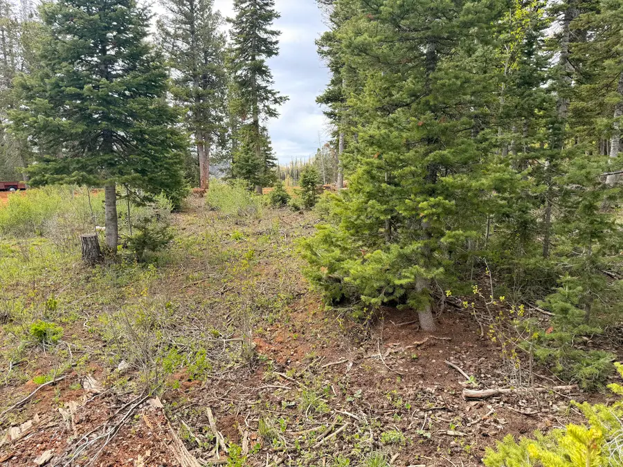 646 W Ski View Dr, Brian Head, UT 84719 - #2