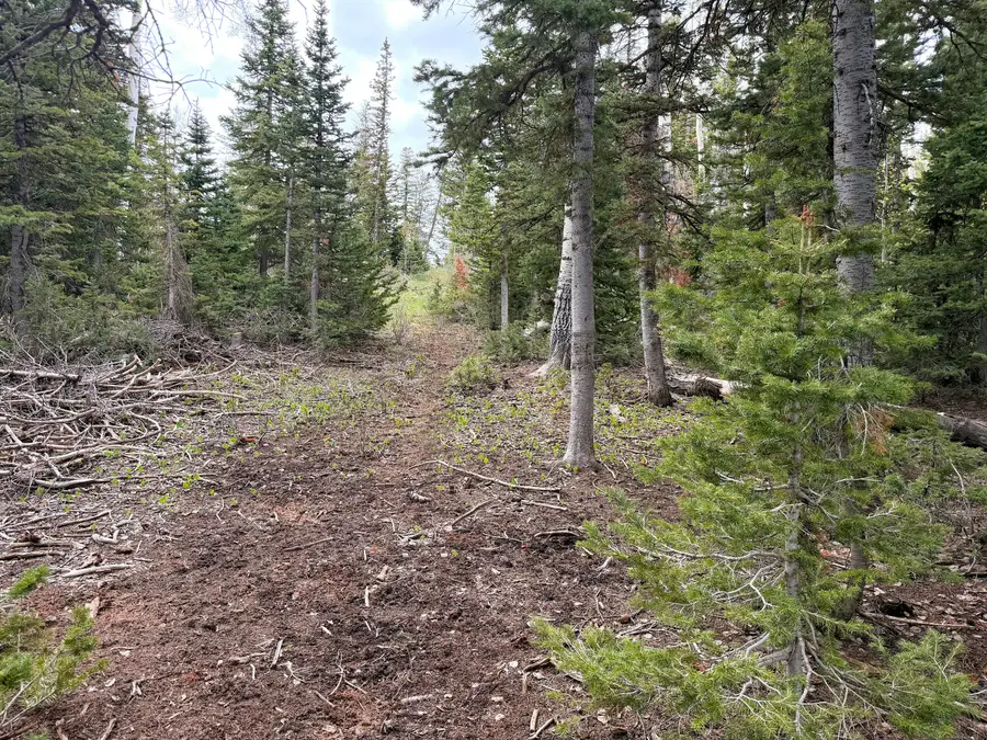 646 W Ski View Dr, Brian Head, UT 84719 - #3