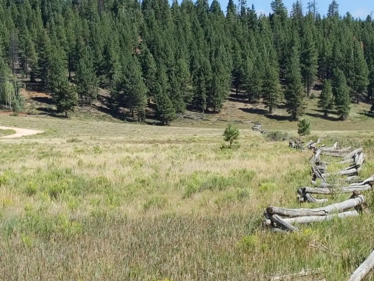 E Meadow Lane, Duck Creek Village, UT 84762 - #1