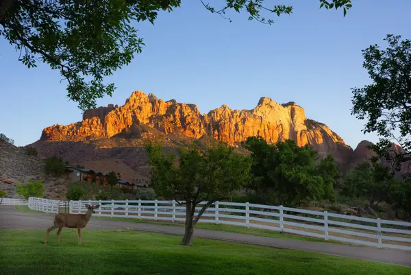 2428 Zion Park Blvd, Springdale, UT 84767