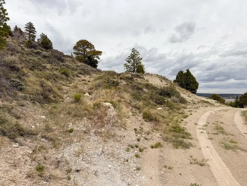 Lot 69 Forest Garden, Panguitch, UT 84759 - #3