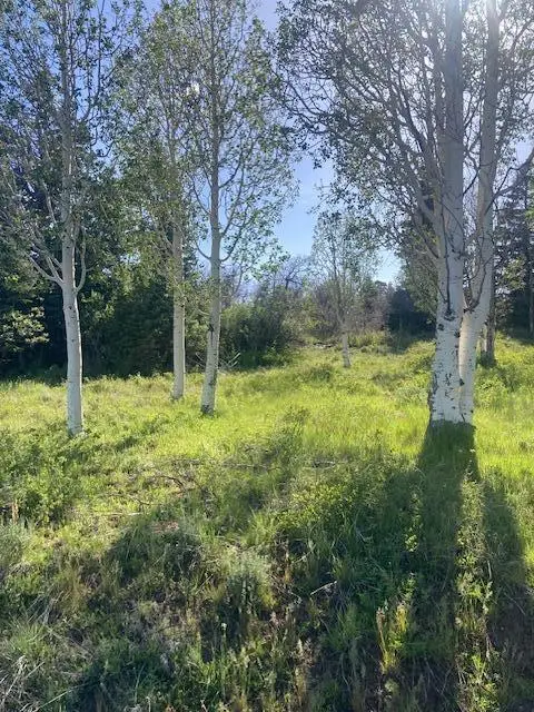 271 N Whispering Pines Rd, Kolob, UT 84767 - #1