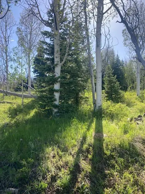 271 N Whispering Pines Rd, Kolob, UT 84767 - #2