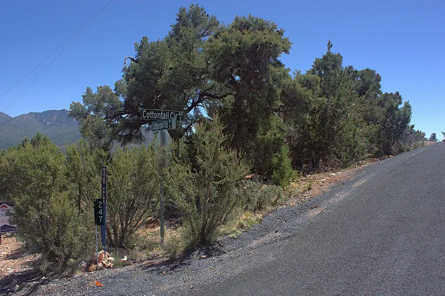 254 Cottontail Cir, Central, UT 84722 - #3