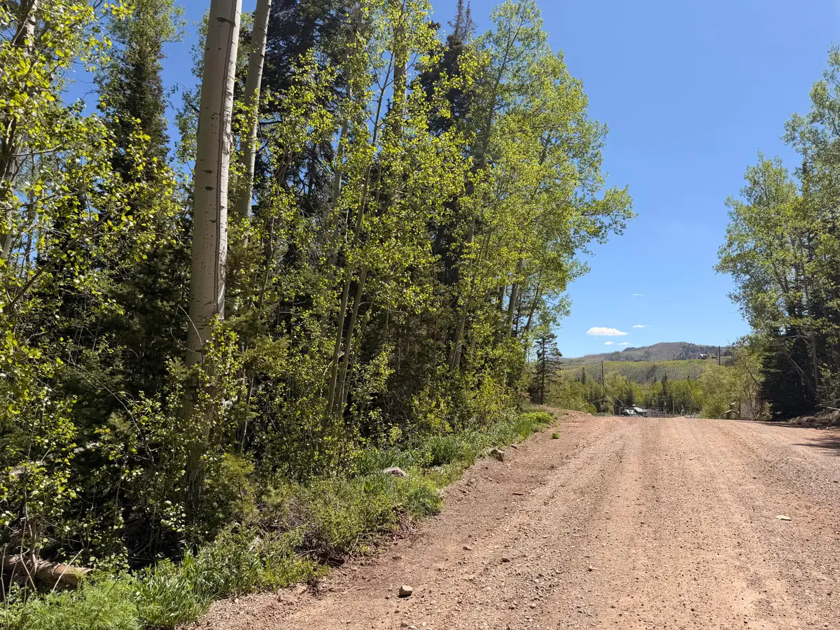 308 W Spruce St, Brian Head, UT 84719 - #1