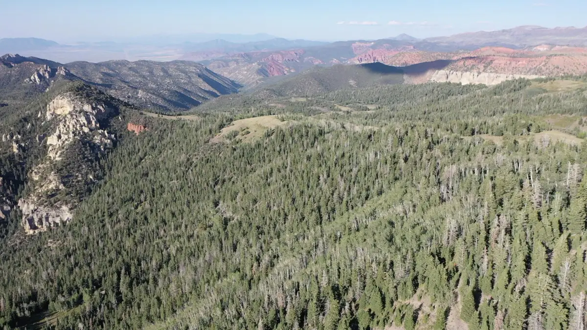 20 Acres W West Of Dry Lakes Rd, Brian Head, UT 84719 - #1