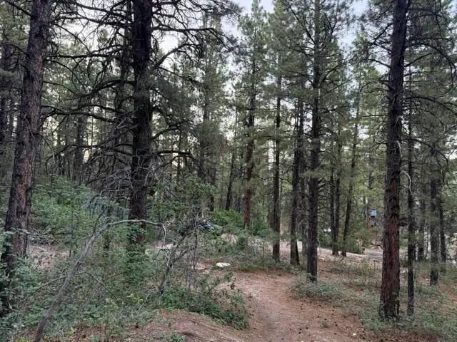137 N Kolob Pines Dr #36, Kolob, UT 84767 - #1