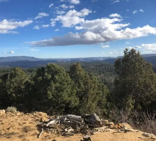 Fitzwater Drive, Virgin, UT 84779 - #1