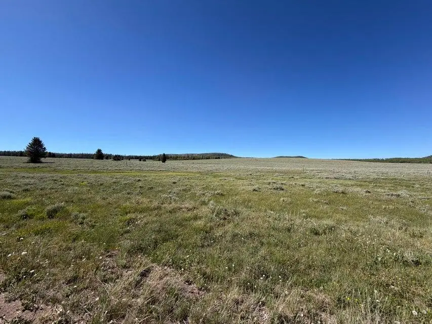 2479 E Meadow Lake Dr #8, Brian Head, UT 84719 - #1