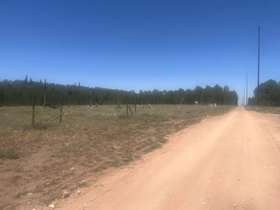 Green Meadow Acres Dr #6, Brian Head, UT 84719 - #2