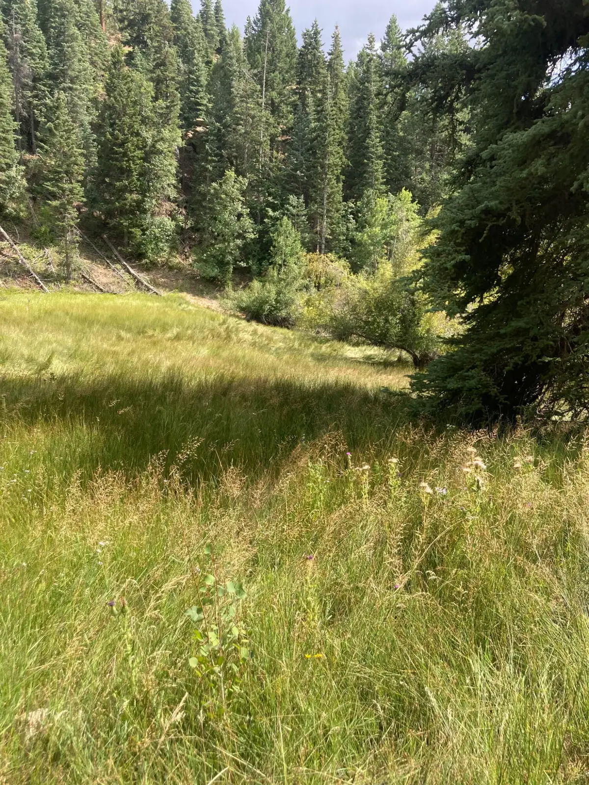 Lot 40 Skyhaven Mountain Retreat #Unit 3, Duck Creek, UT 84762 - #1
