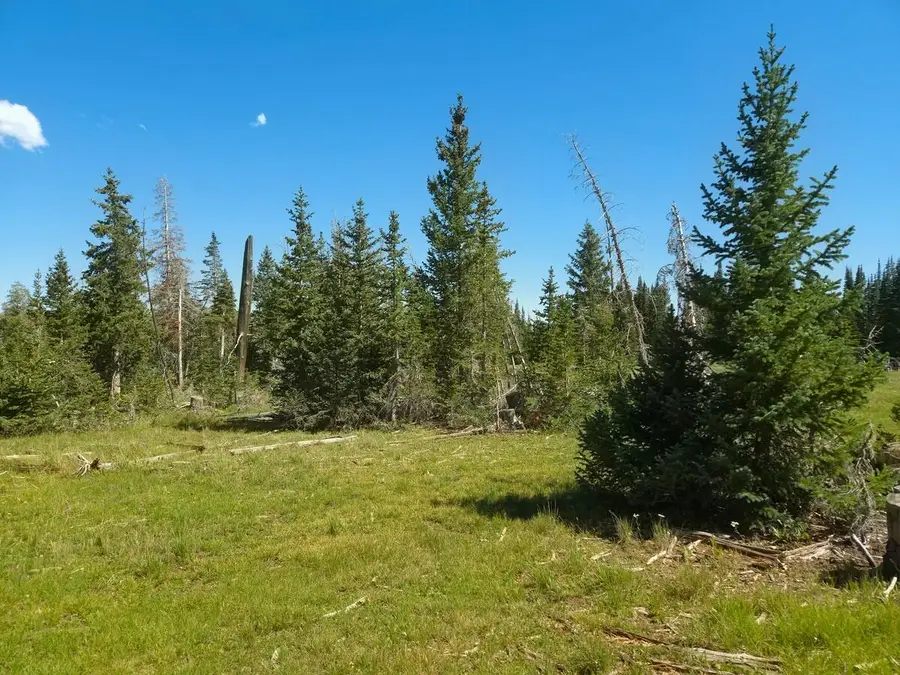 2397 Rainbow Ln, Brian Head, UT 84719 - #2