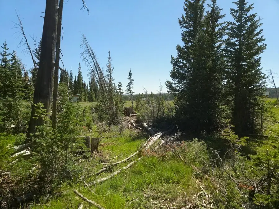 2397 Rainbow Ln, Brian Head, UT 84719 - #3