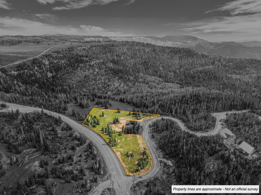 167 Zion View Dr, Brian Head, UT 84719 - #3
