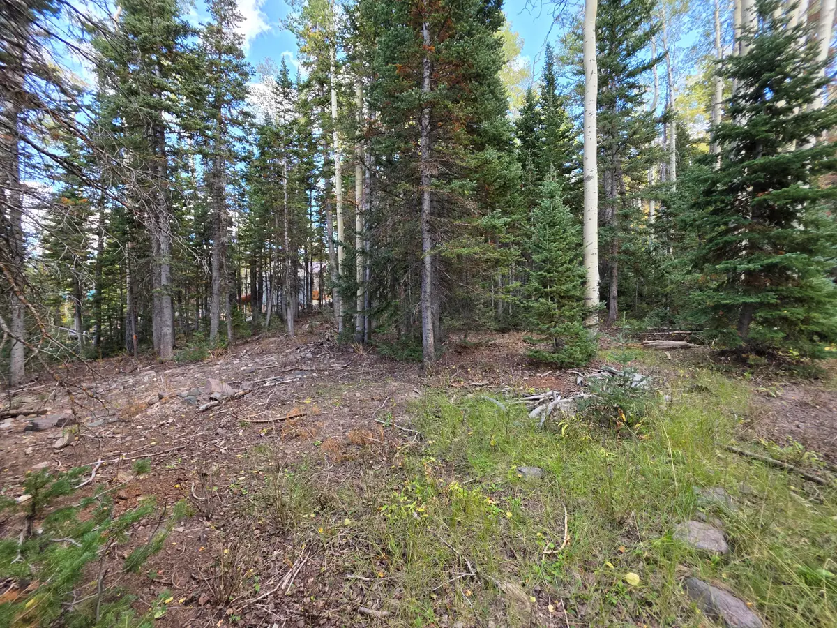 214 E Deer Trail Rd, Brian Head, UT 84719 - #1