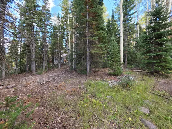 214 E Deer Trail Rd, Brian Head, UT 84719