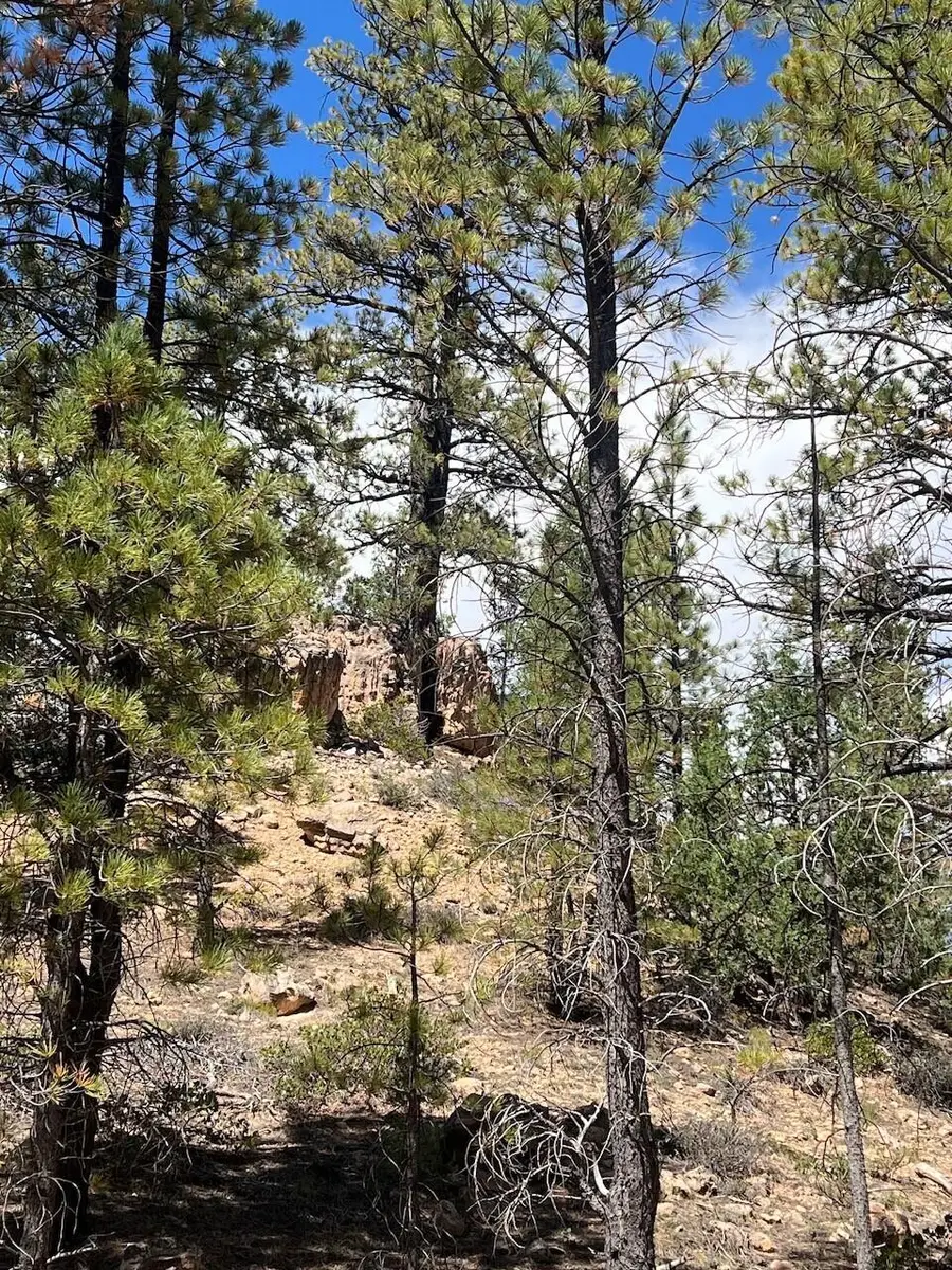 Elk Ridge Estates #Lot  4 Phase 6, Alton, UT 84710 - #2